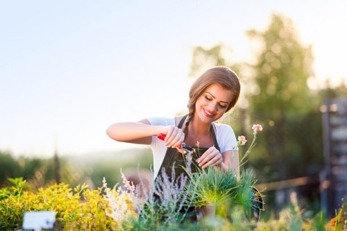 A woman in a garden is seen tending to various plants and flowers, with a focus on a patch of green foliage and flowering plants in the foreground. The garden features well-maintained grassy lawn areas, bordered by shrubbery and small trees, which provide natural separation and privacy. The surface of the lawn appears lush and dense, with vibrant green tones. The background includes a mix of taller trees and a wooden garden fence, with soft natural light indicating a sunny day, possibly late afternoon. The woman is smiling as she appears to be caring for her garden, which showcases a variety of flowering plants and leafy shrubs, all arranged in a landscaped outdoor space. The setting reflects a typical residential garden in Barnet, with a neat layout that emphasizes natural growth and seasonal colour variation, suitable for professional gardening and landscaping services offered by Garden Maintenance Barnet.