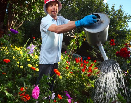 The image shows a man wearing a red and white wide-brimmed hat, a light blue shirt, and blue gardening gloves, standing in a vibrant garden with a variety of flowering plants and lush green foliage. He is holding a grey metal watering can, tilting it to pour water onto the garden beds. The garden features a mix of colourful flowers, including red, pink, and yellow blooms, with some taller bushes and trees in the background, suggesting a well-maintained outdoor space in Barnet. The scene is set outdoors on a bright day with natural sunlight illuminating the garden, highlighting the healthy, vibrant plants and the man's gardening activity. This setting exemplifies typical lawn and garden care practices that Garden Maintenance Barnet offers, including watering, planting, and general garden upkeep in a suburban garden environment near Barnet or the surrounding postcode area. The overall scene emphasizes professional outdoor maintenance and gardening services aimed at keeping gardens lush, tidy, and flourishing throughout the seasons.