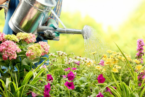 Banner image representing Garden Maintenance Barnet