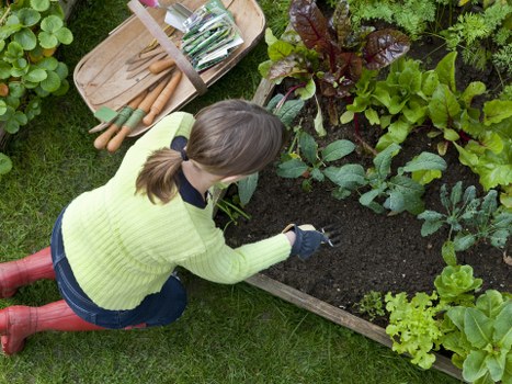 Team performing remedial garden maintenance work on a small lawn