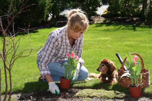 Pruning shrubs in a Barnet garden