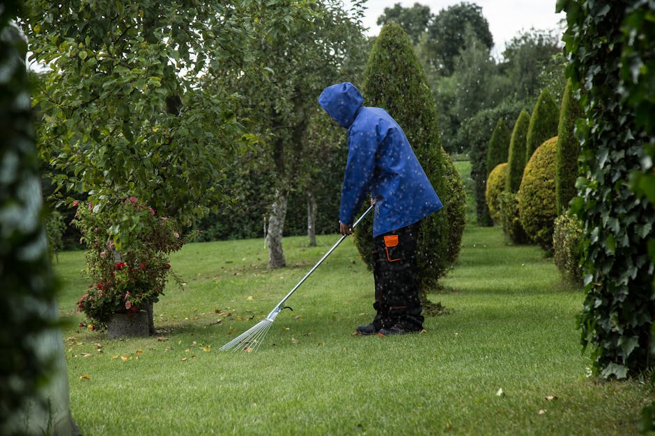 A person dressed in a blue waterproof jacket with the hood up and black outdoor trousers is engaging in garden maintenance, using a metal rake to tidy up fallen leaves and debris on the vibrant, neatl