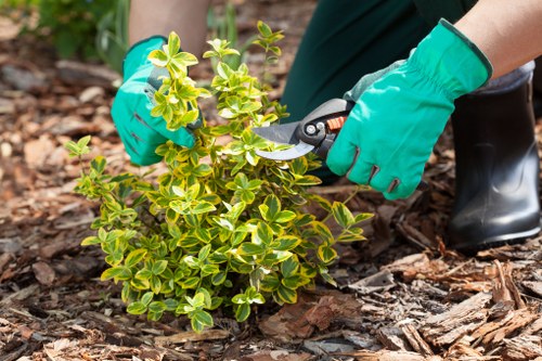 Seasonal planting in a Barnet garden