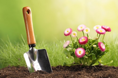 Healthy soil preparation for garden plants